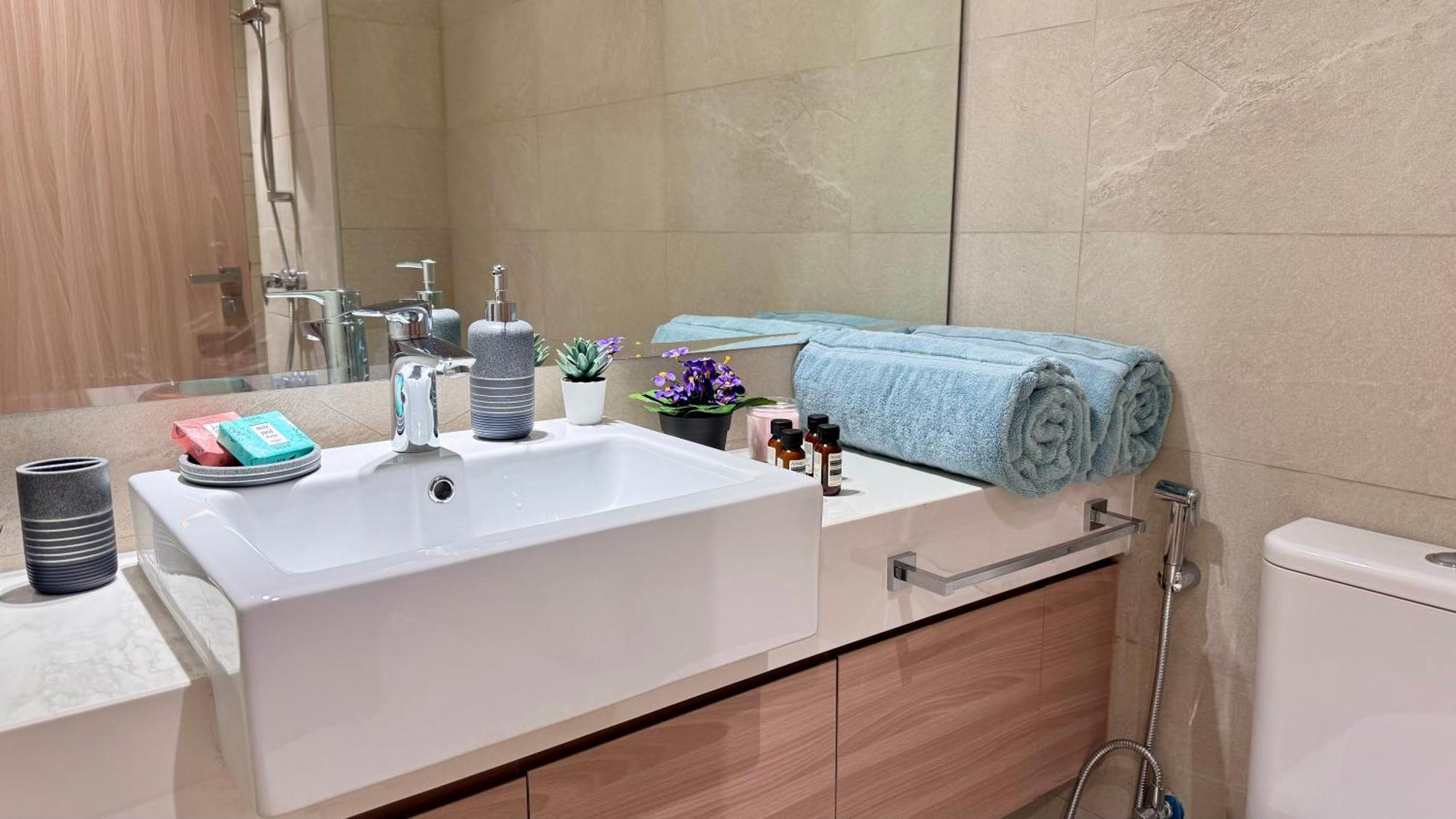 Next Mall With Pool Appartement Dubai